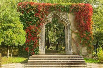 Quinta da Conceição em Leça da Palmeira