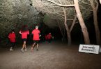 EDP Corrida do Parque à Noite