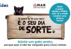 Gato Preto