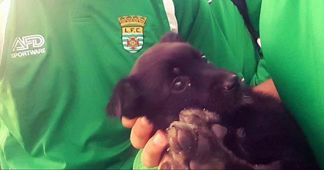 Lecinha - mascote do leça fc