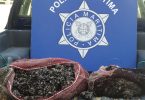 Polícia Marítima apreende 56 Kg de percebes em Leça da Palmeira
