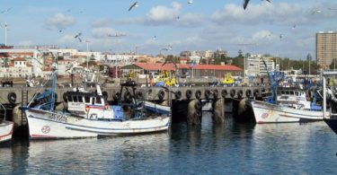 Porto de Pesca de Matosinhos