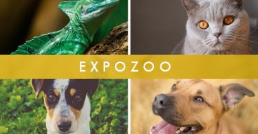 Expozoo na Exponor