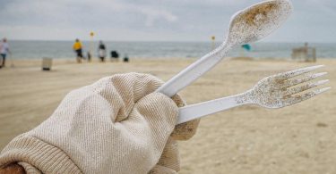 "Nem tudo o que vem a rede é peixe": Campanha de sensibilização arranca em Matosinhos