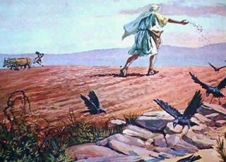 Liturgia Familiar: Proposta para 15.º Domingo Comum