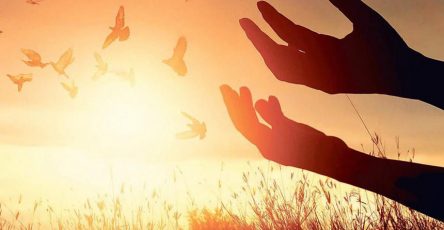 Liturgia Familiar: Proposta para o 24.º Domingo Comum