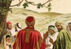 25.º Domingo Comum