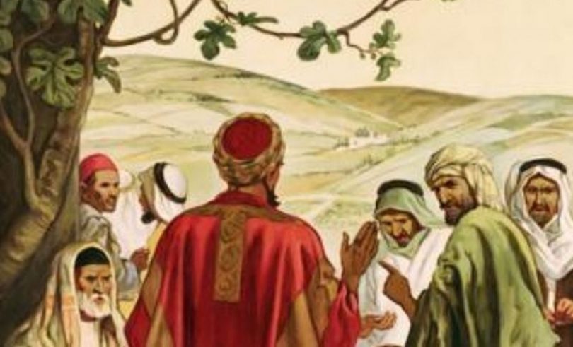 25.º Domingo Comum