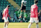Leça - Salgueiros