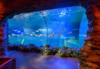 SEA LIFE Porto