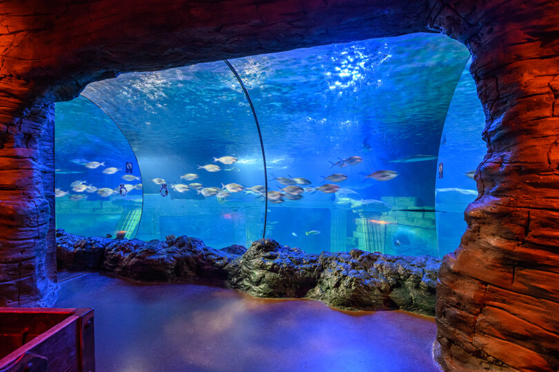 SEA LIFE Porto