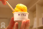 3 Cones - Nivá Matosinhos
