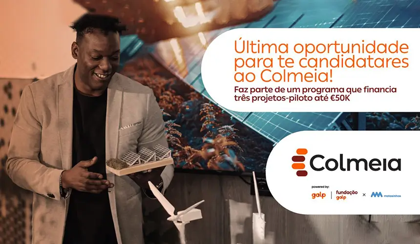 Programa Colmeia