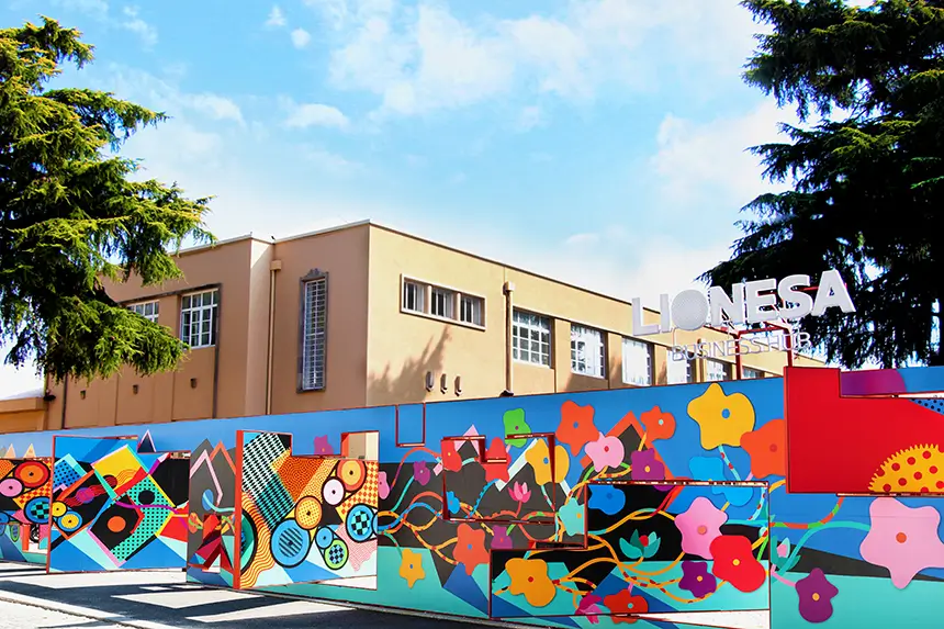 Lionesa Business Hub (Lionesa BH)