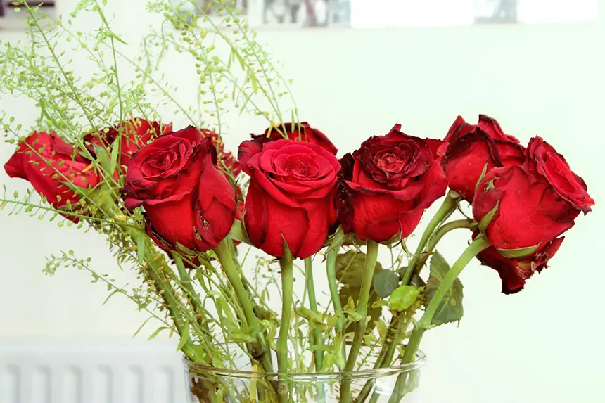 Jarra de Flores