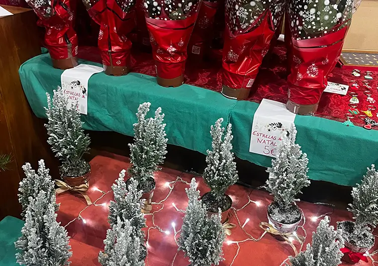 Mercado de Natal - Centro Franciscano - Leça da Palmeira