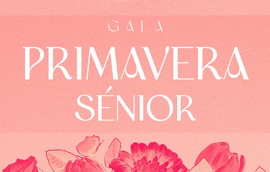 Gala Primavera Sénior - Leça da Palmeira